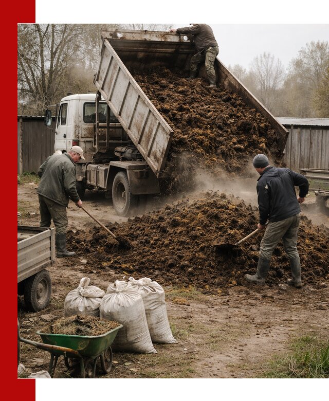 Доставка коровьего навоза самосвалом в Кропоткине
